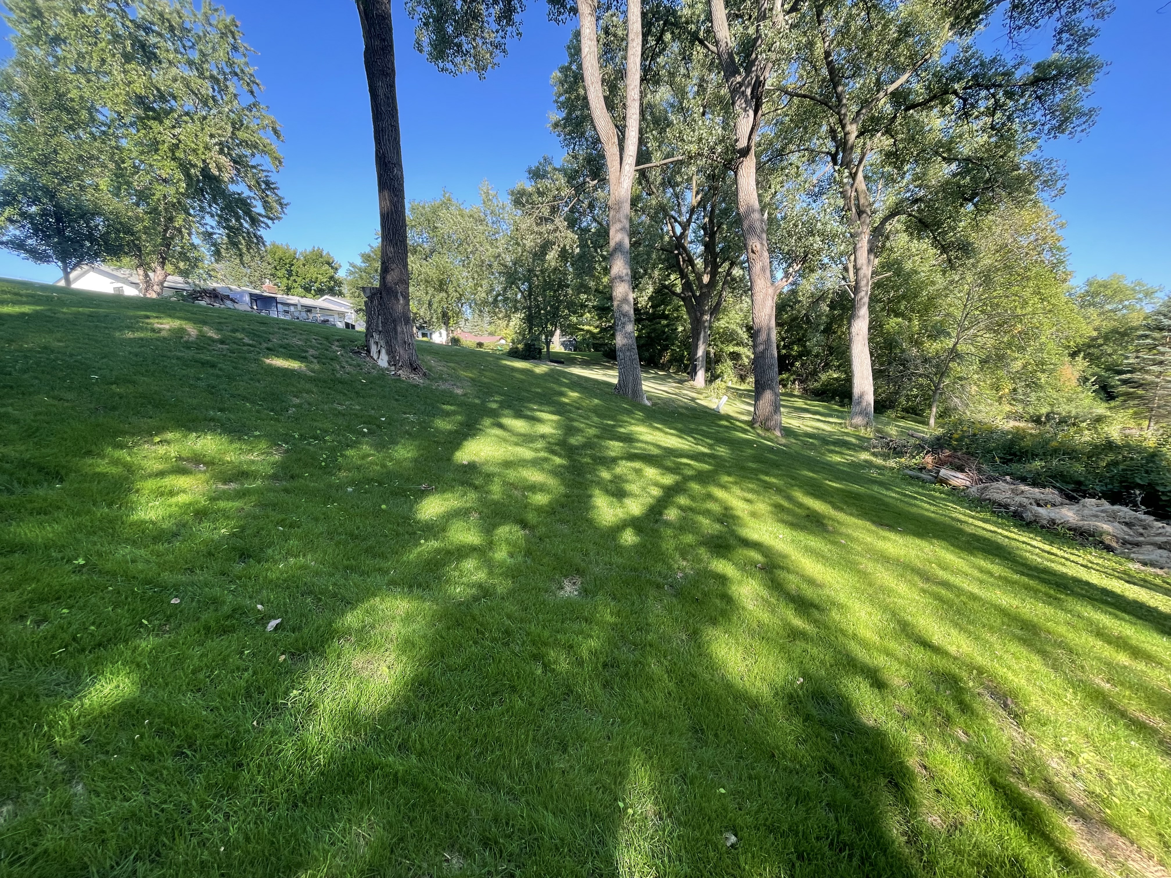 Green lawn on graded hill
